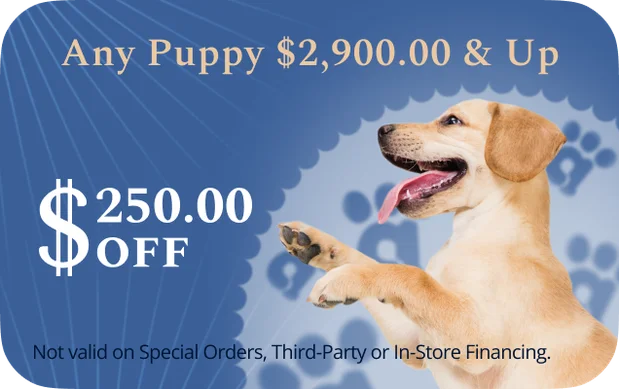 Any Puppy $2,900 and up, $250.00 off.