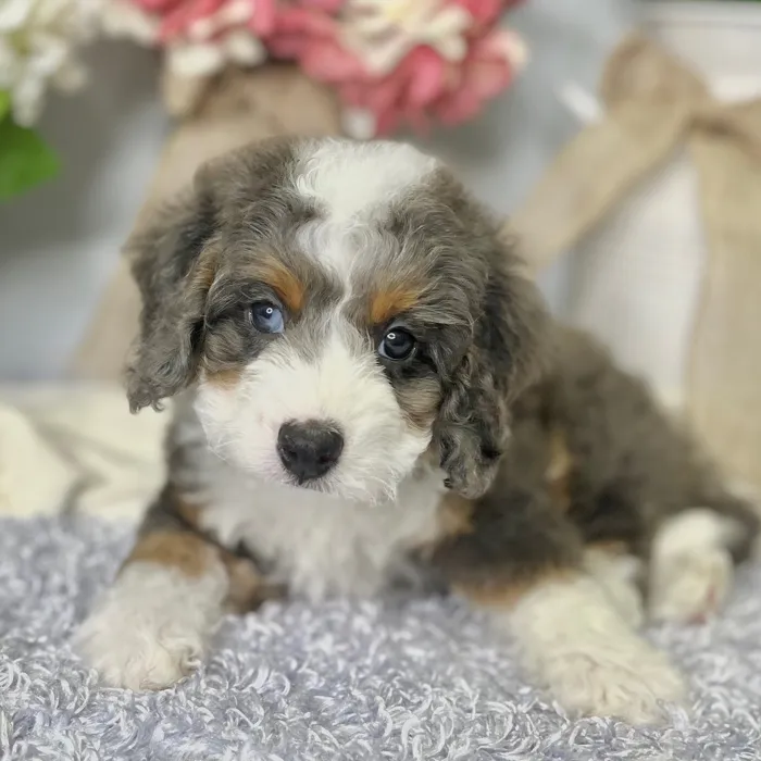 image_cropper_CE3A789E-682B-49D7-94D6-2914AB98D744-69566-00000F9BECC8171B.jpg image