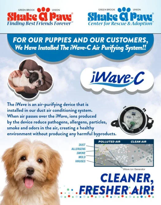 Shake a paw adoption center deals
