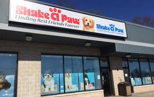 Shake a paw near me 2025