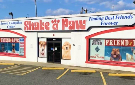 Shake a paw outlet