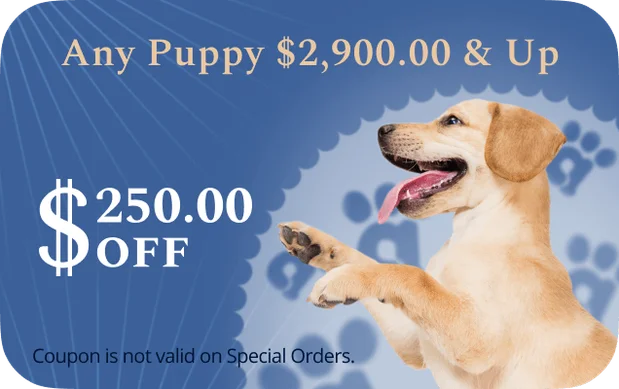 any_puppy_$250off