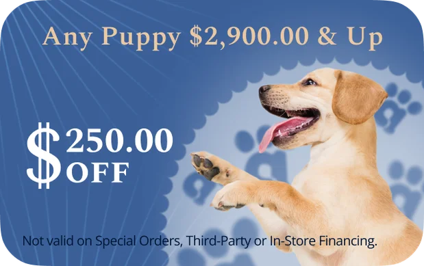 Online Coupons Shake A Paw